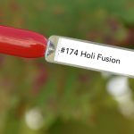 Nail perfect upvoted 174 holi fusion tips