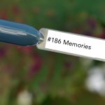 Nail perfect upvoted 186 memories tips