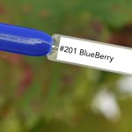 Nail perfect upvoted 201 blueberry tips