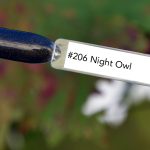 Nail perfect upvoted 206 night owl tips