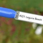 Nail perfect upvoted 221 laguna beach tips