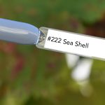 Nail perfect upvoted 222 sea shell tips