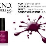 shellac vernis permanent berry boudoir