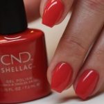 shellac vernis permanent element image1