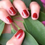 shellac vernis permanent oxblood image4