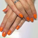 shellac vernis permanent gypsy image2