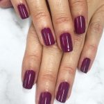 shellac vernis permanent vivant image3