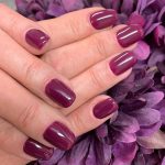 shellac vernis permanent vivant image4