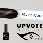 NailPerfect Upvoted Cateye Maine Coon