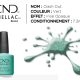 shellac vernis permanent clash out