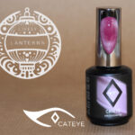 NailPerfect Upvoted #283 Festival Fizz Cateye bouteille