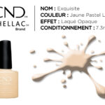 shellac vernis permanent exquisite